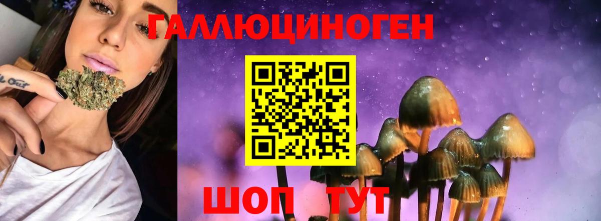 Галлюциногенные грибы GOLDEN TEACHER  Вход с VPN  Уссурийск 